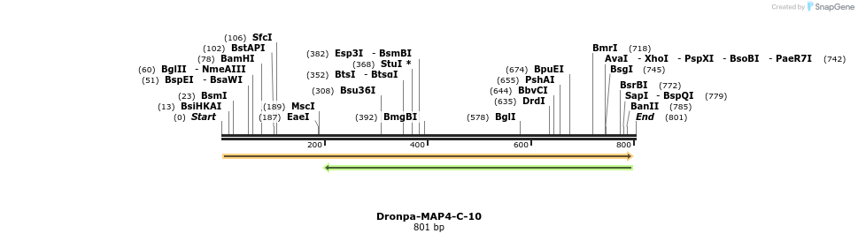 132313_map
