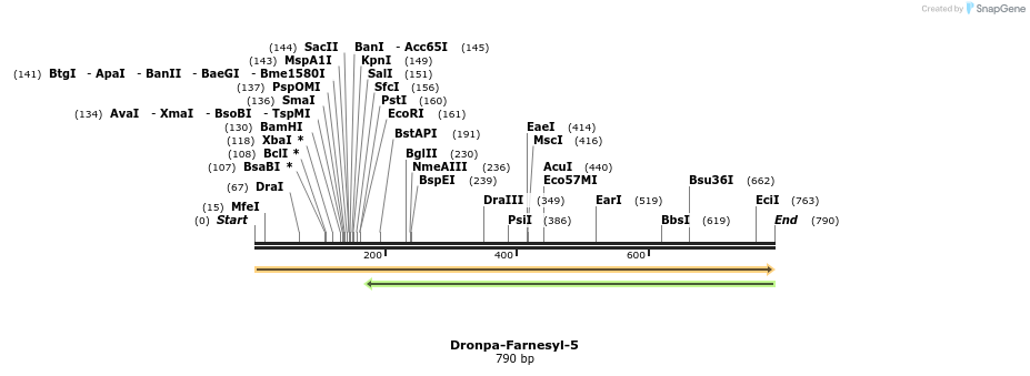 132315_map