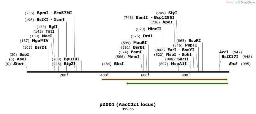 132316_map