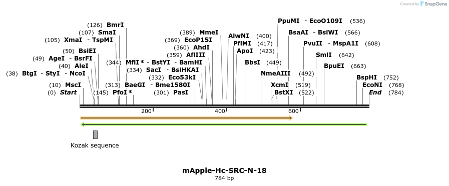 132318_map