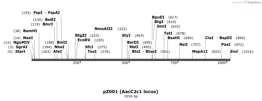 132322_map
