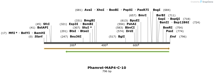 132324_map