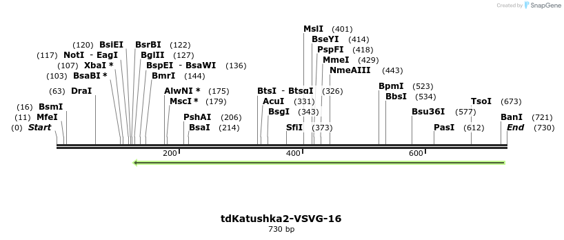 132325_map
