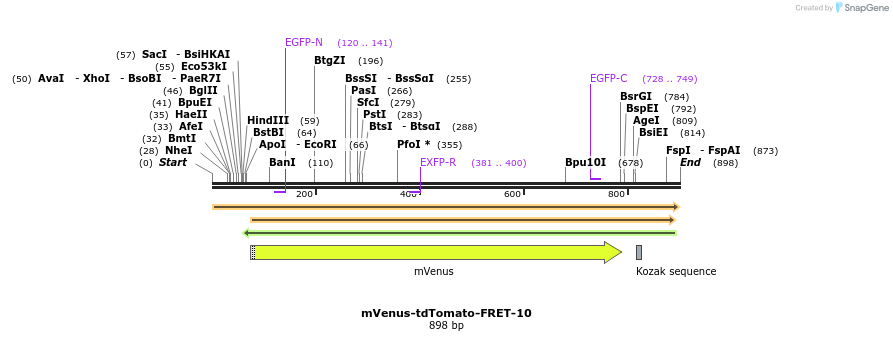 132327_map