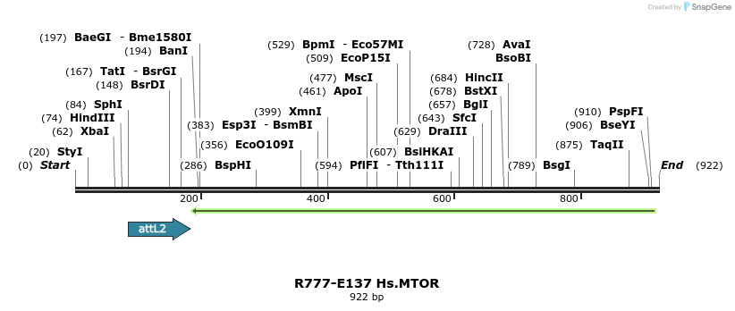 132338_map