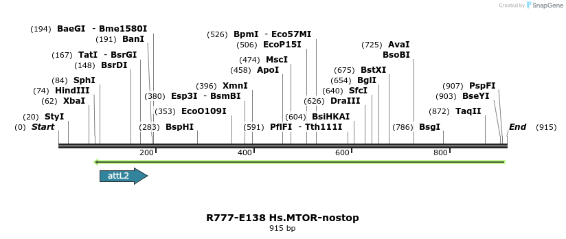 132339_map