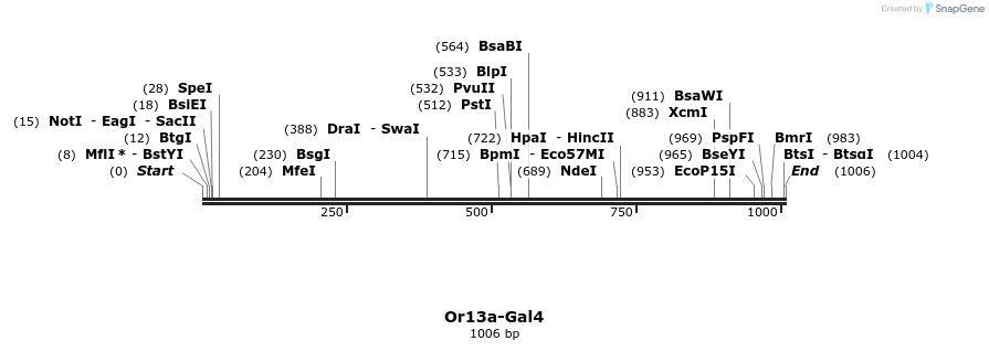 132343_map