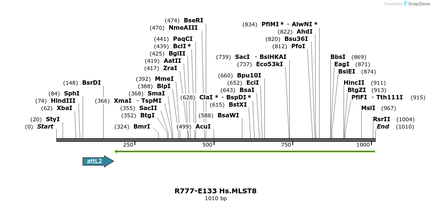 132344_map