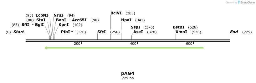 132347_map