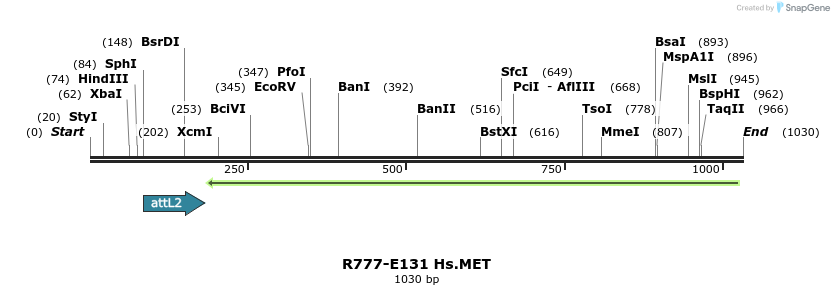 132348_map