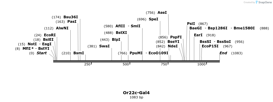 132349_map