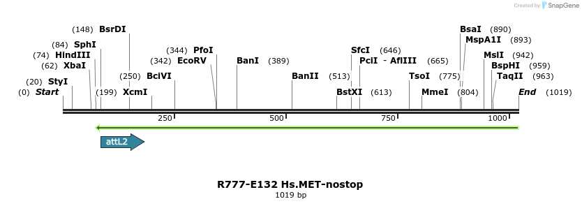 132350_map