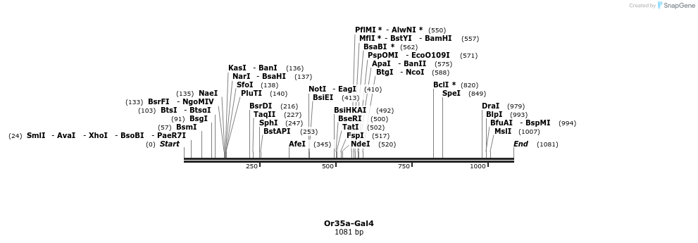 132354_map