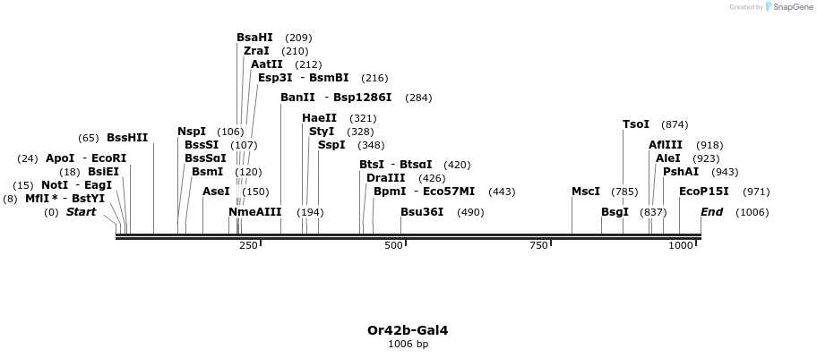 132355_map