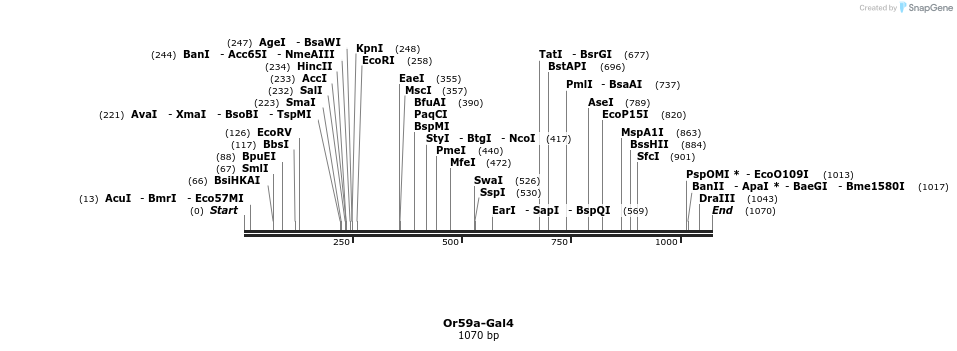 132357_map