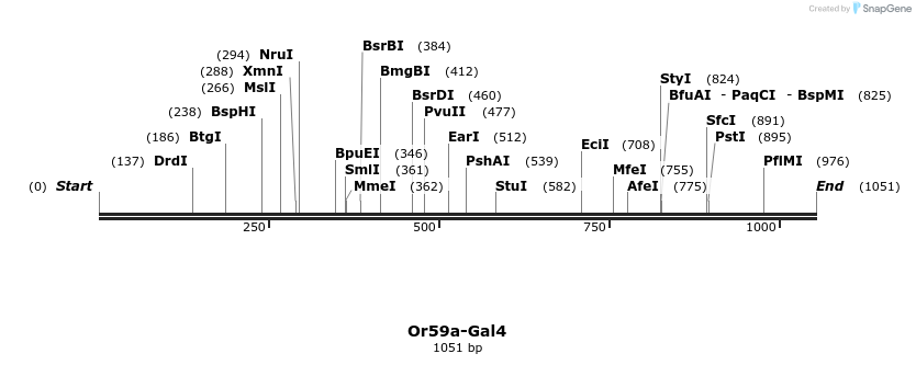 132358_map