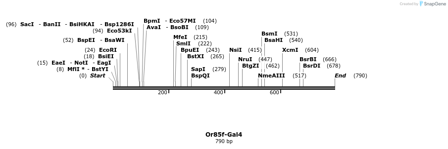 132359_map