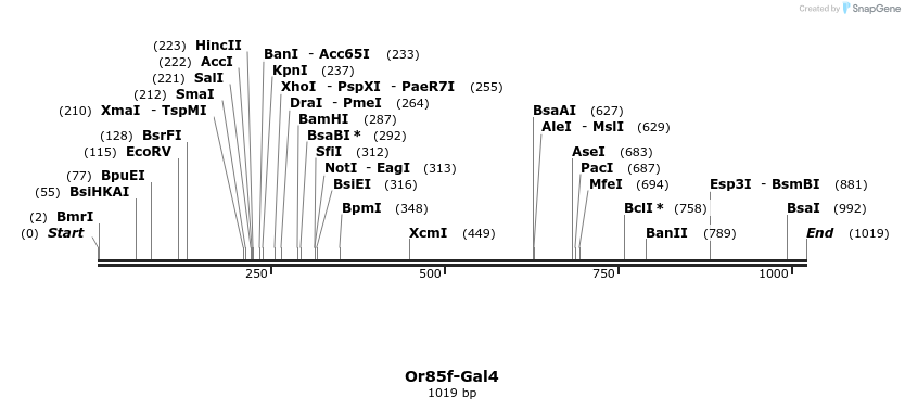 132360_map