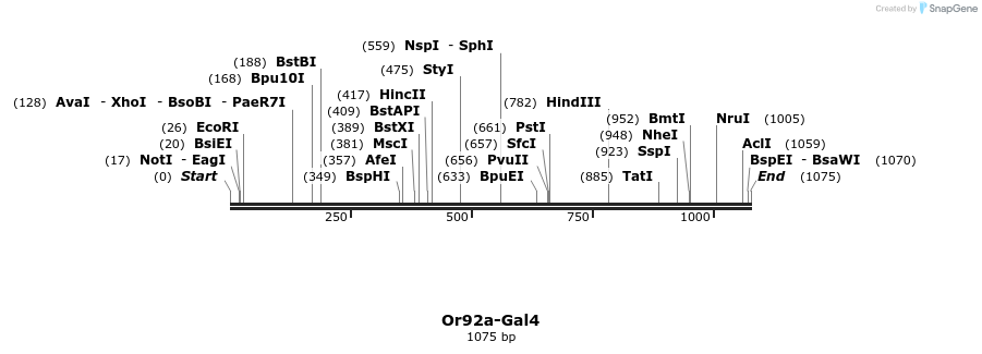 132361_map