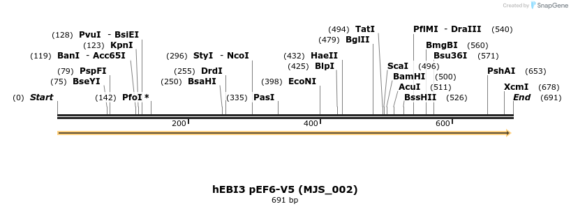 132363_map