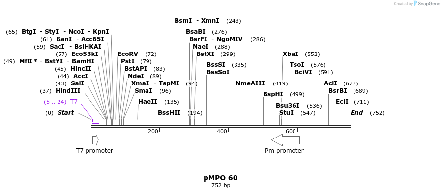 132368_map