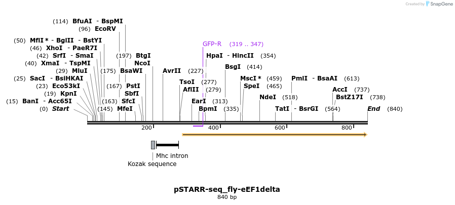 132384_map