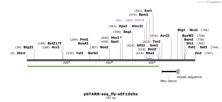 132385_map