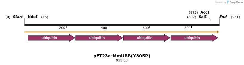 132386_map
