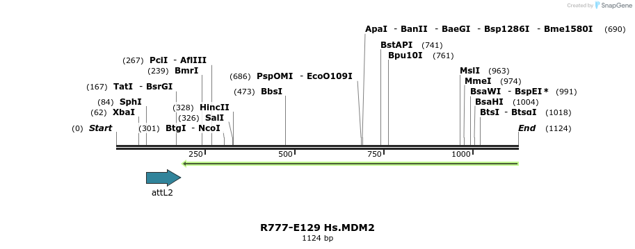 132387_map