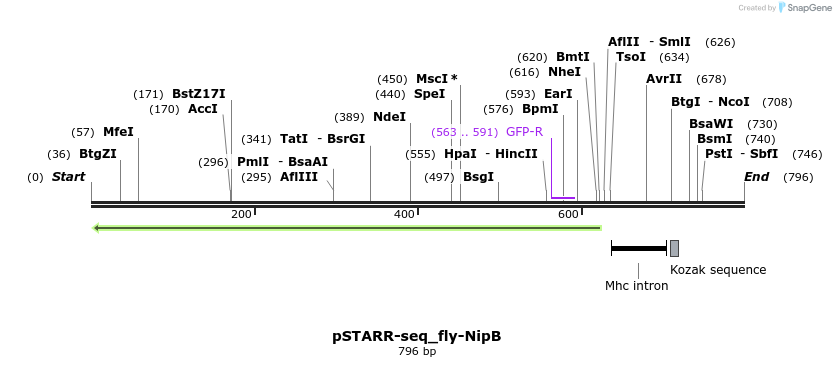 132391_map