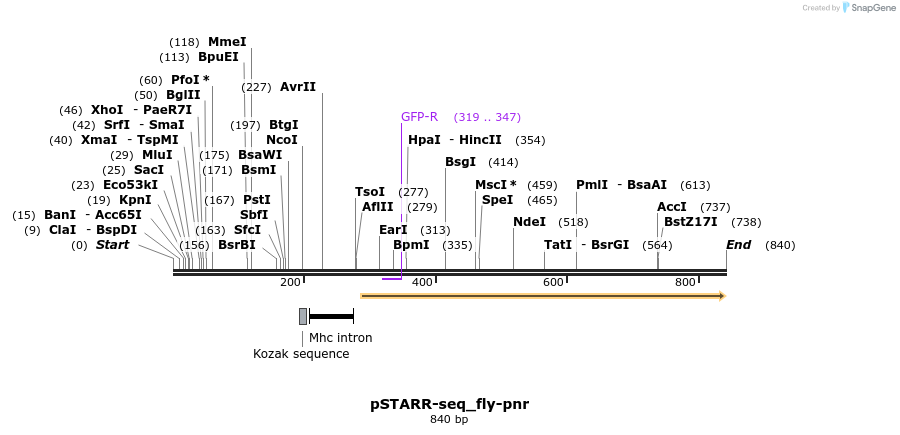 132393_map