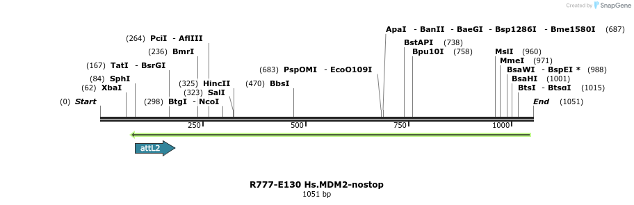 132394_map