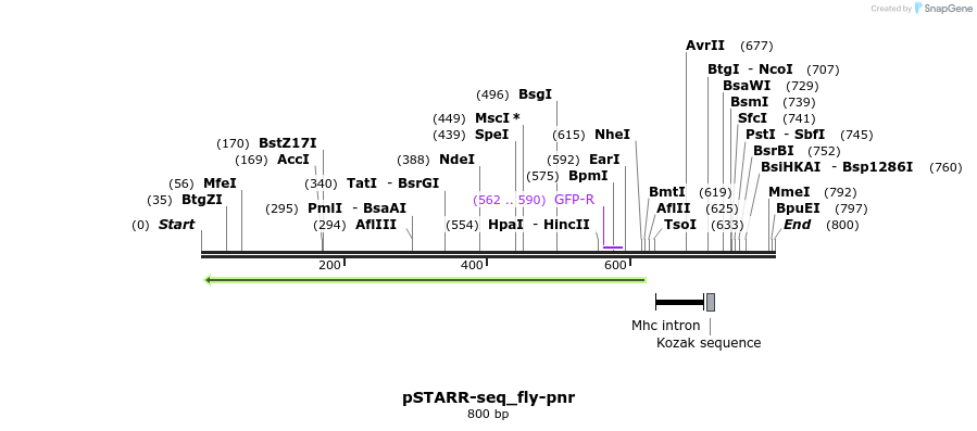 132395_map