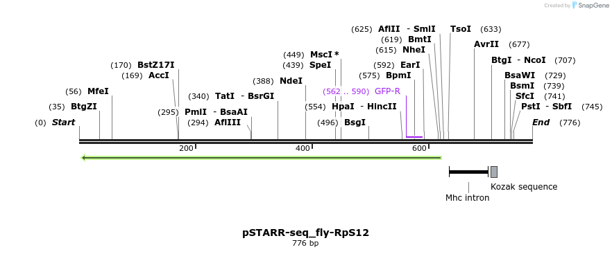 132397_map