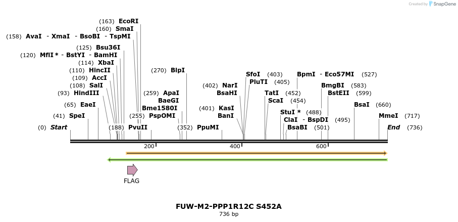 132398_map