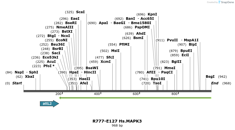 132399_map
