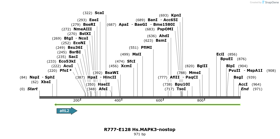 132401_map