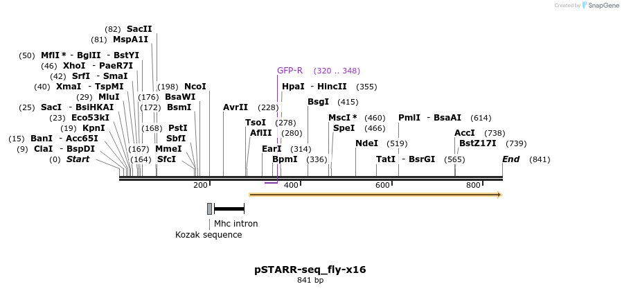 132402_map
