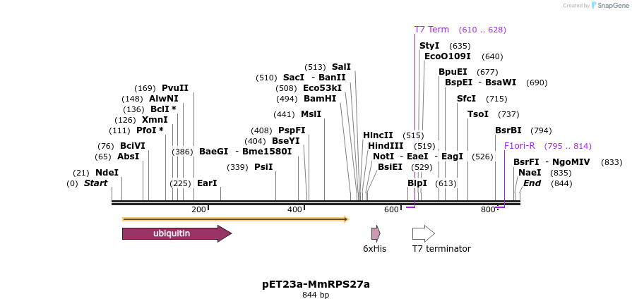 132404_map