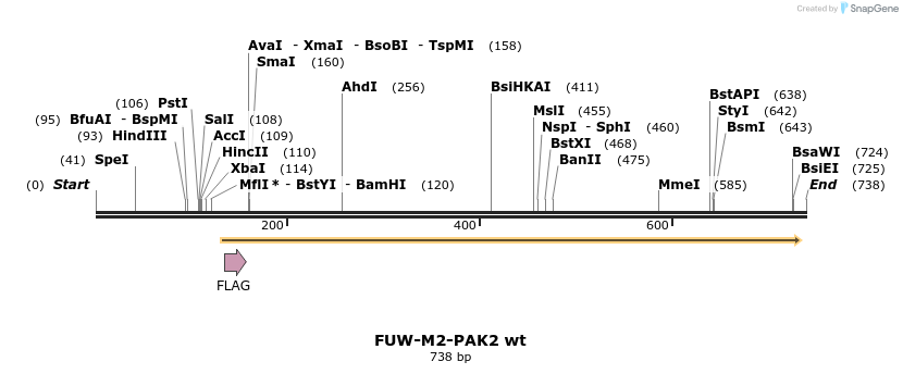 132405_map