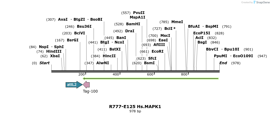 132406_map