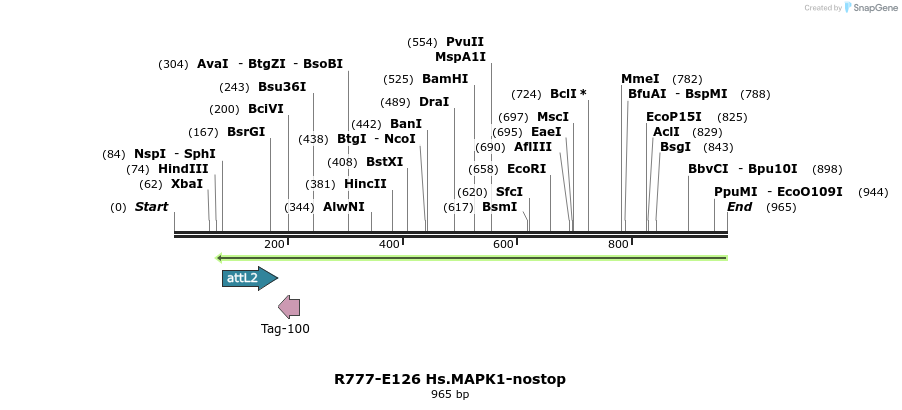 132409_map