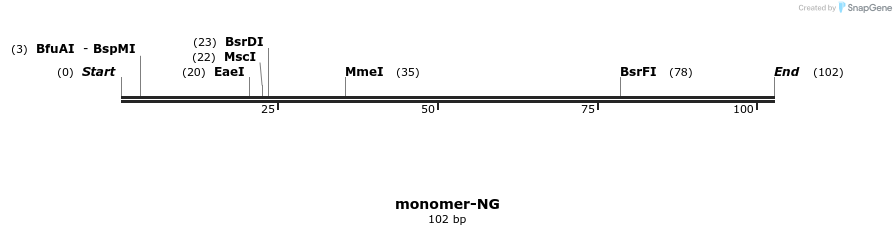 13241_map