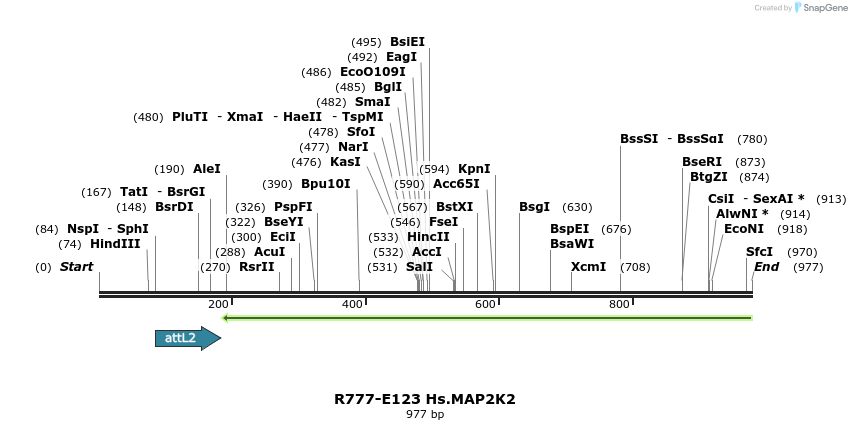 132412_map