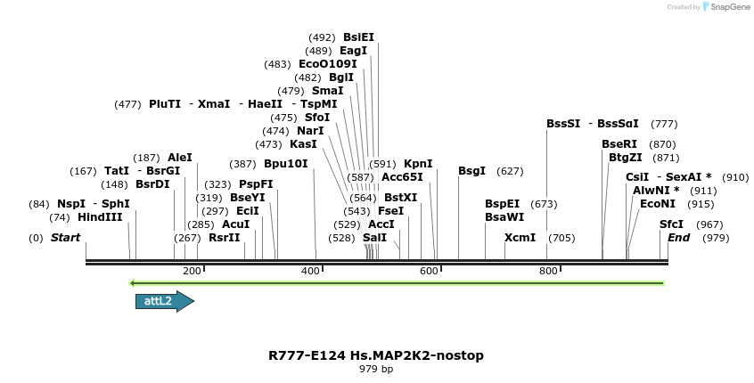 132414_map