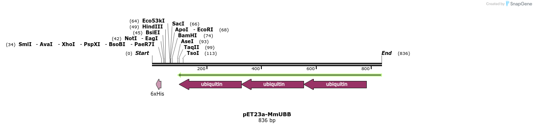 132417_map