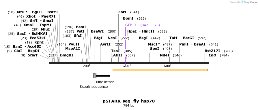 132420_map