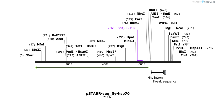 132421_map