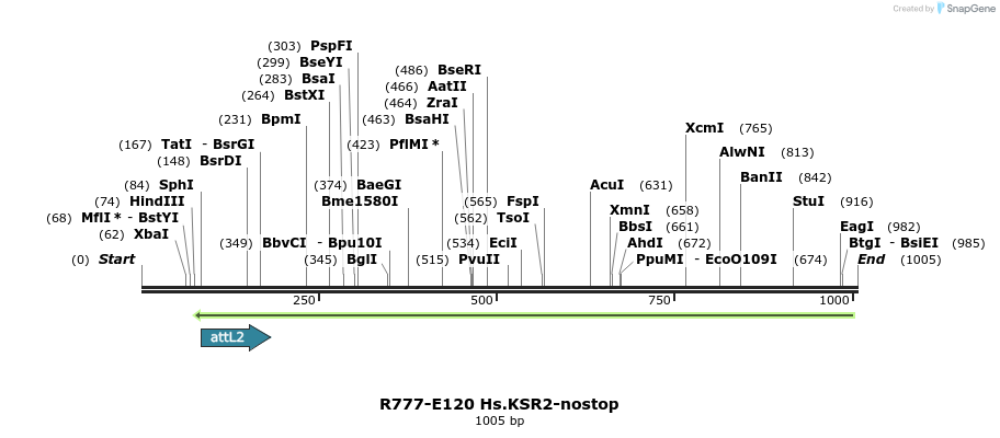 132426_map