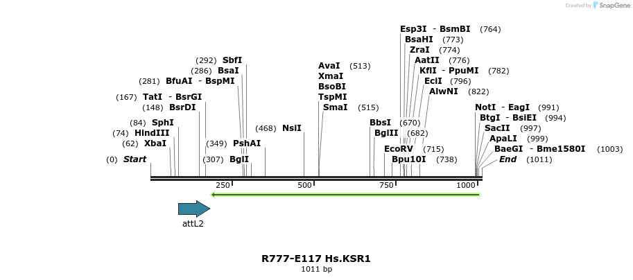 132428_map